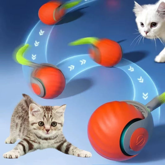 Why Smart Toys Like the Scrolling Cat Ball Keep Indoor Cats Happy and Healthy