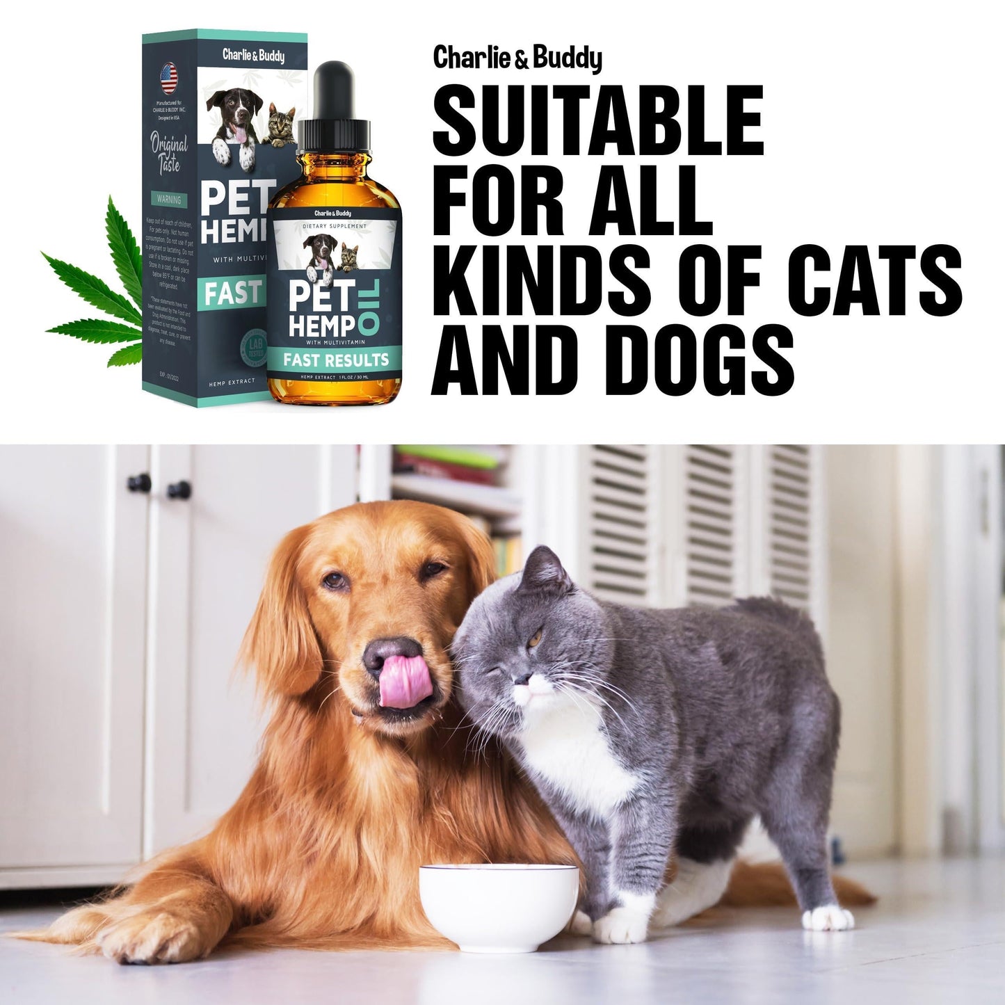 Hemp Oil for Dogs & Cats