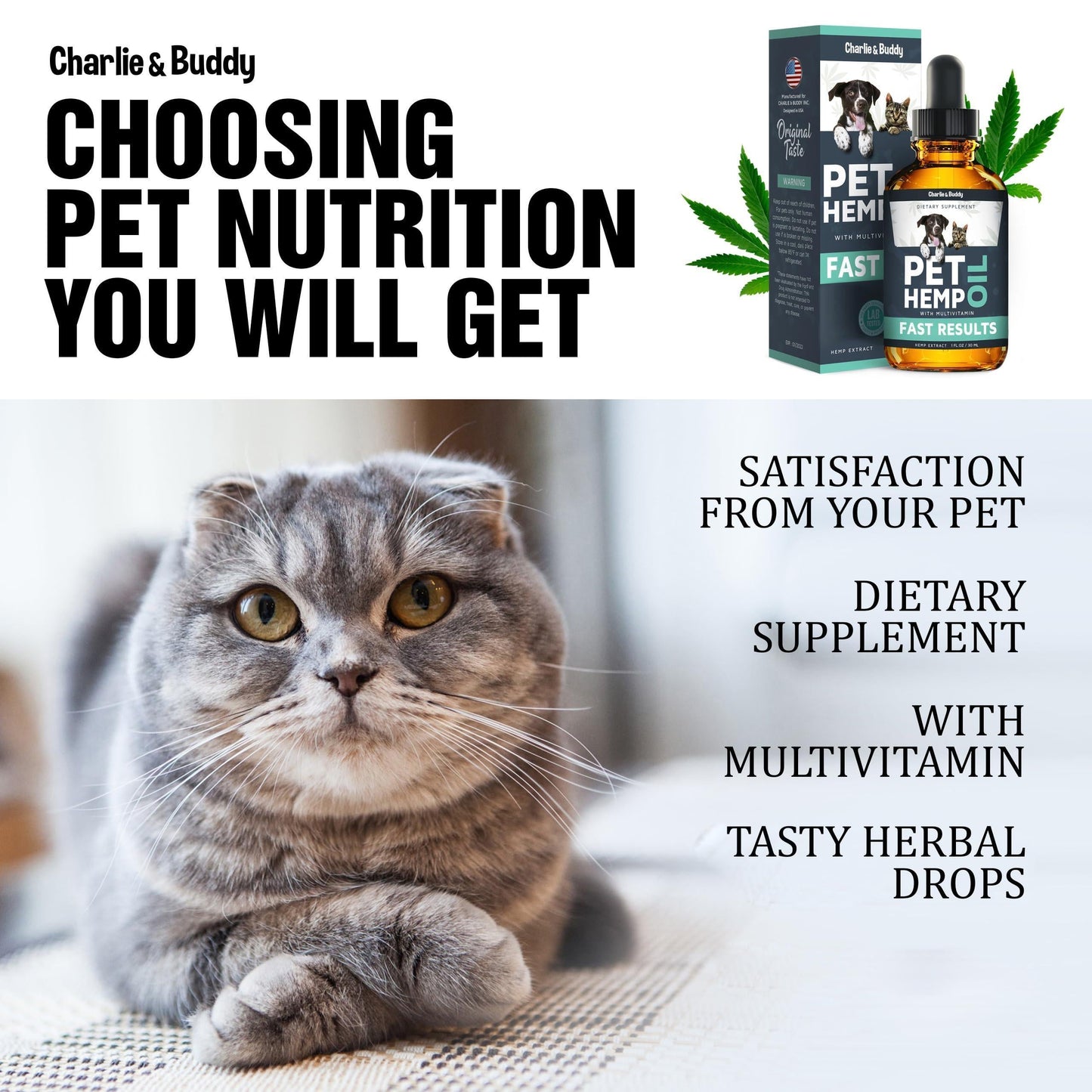 Hemp Oil for Dogs & Cats