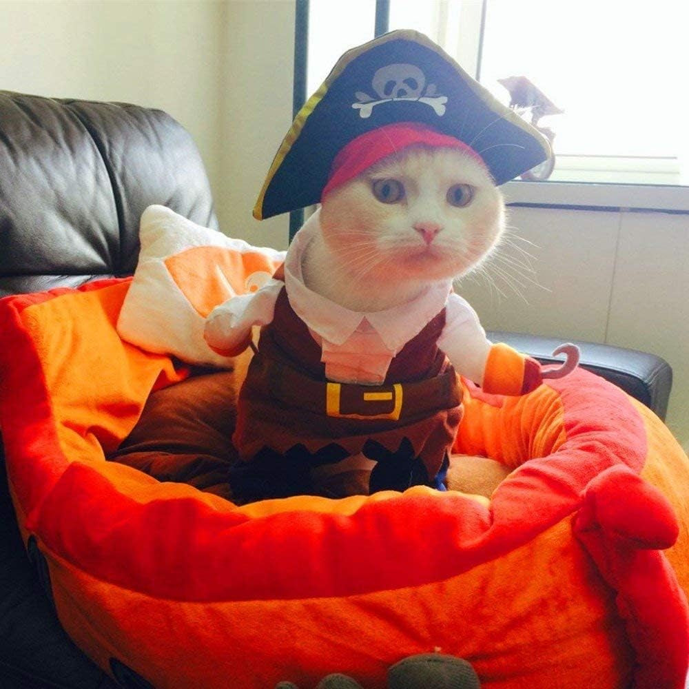 New Funny Pet Clothes Pirate Dog Cat Costume Suit Corsair Dressing up Party Apparel Clothing for Cat Dog plus Hat (Small)