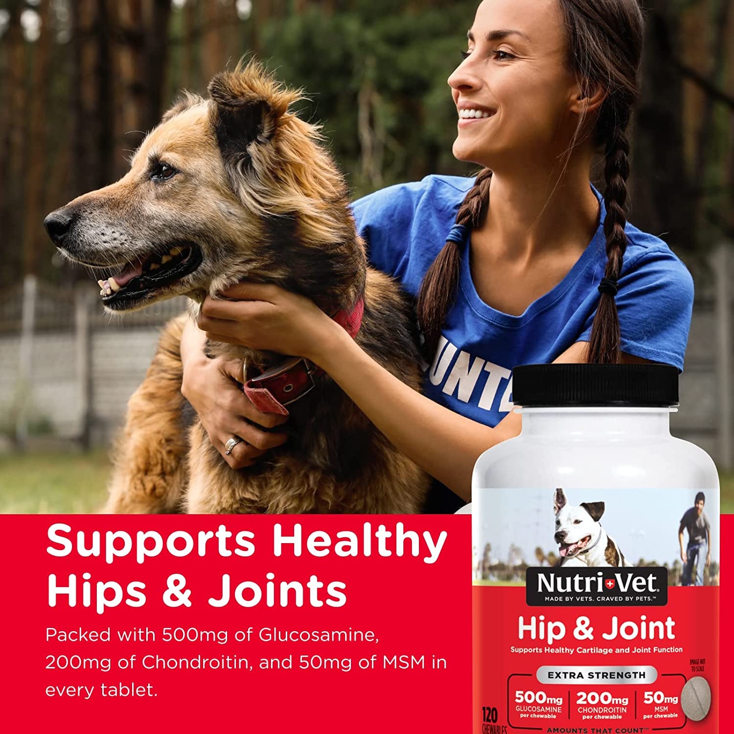 Hip & Joint Chewable Dog Supplements | Formulated with Glucosamine & Chondroitin for Dogs | 120 Count