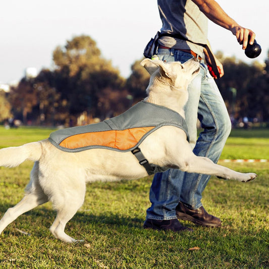 Dog Cooling Vest- Reflective Dog Cooling Coat with Adjustable Side Straps, Pet Cooler Jacket for Small, Medium Dog