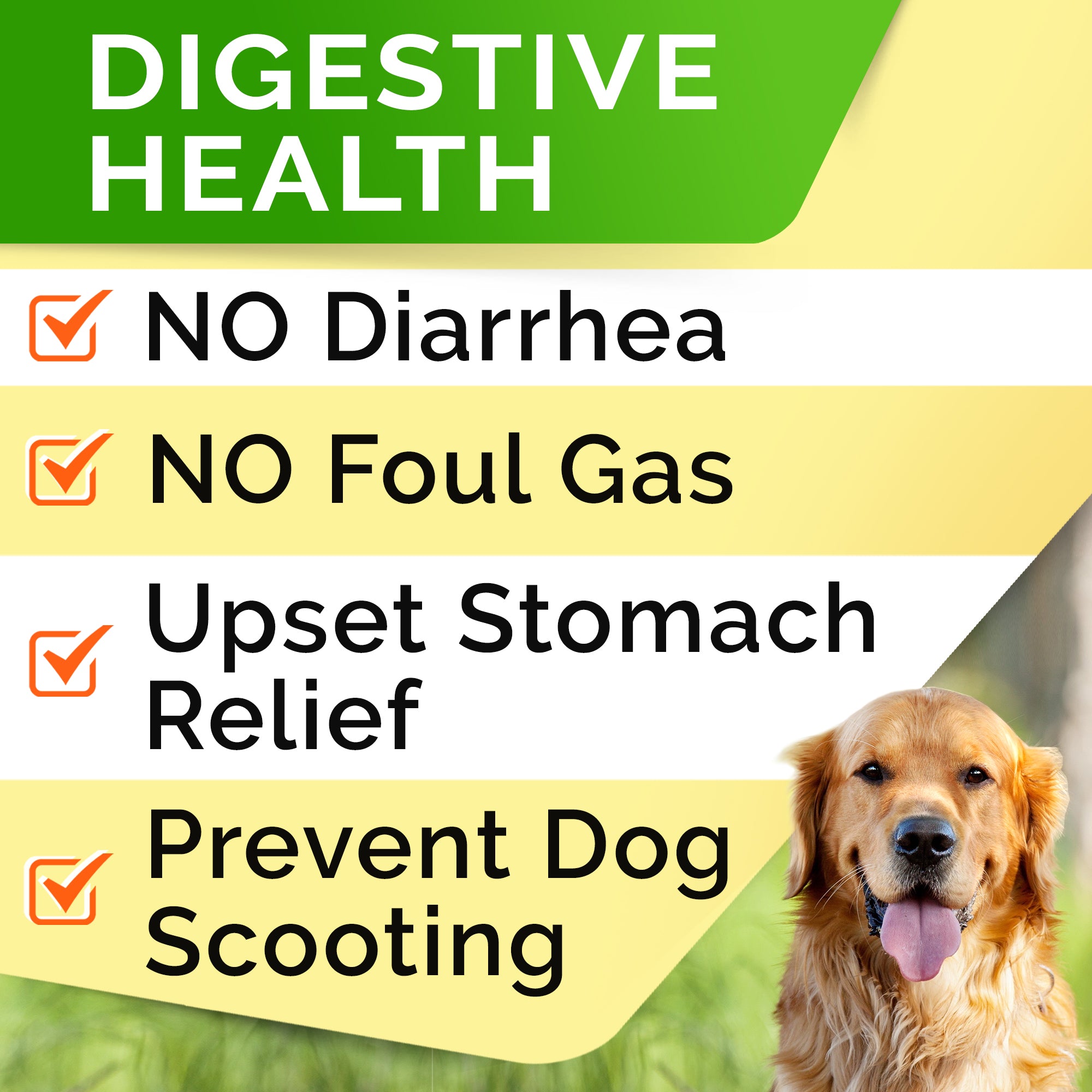 Probiotics Chews for Dogs & Digestive Enzymes + Digestion & Gut Health Treats, Probiotics for Dogs, Fiber Supplement, anti Diarrhea, Constipation, Upset Stomach&Gas Relief, Canine Prebiotic