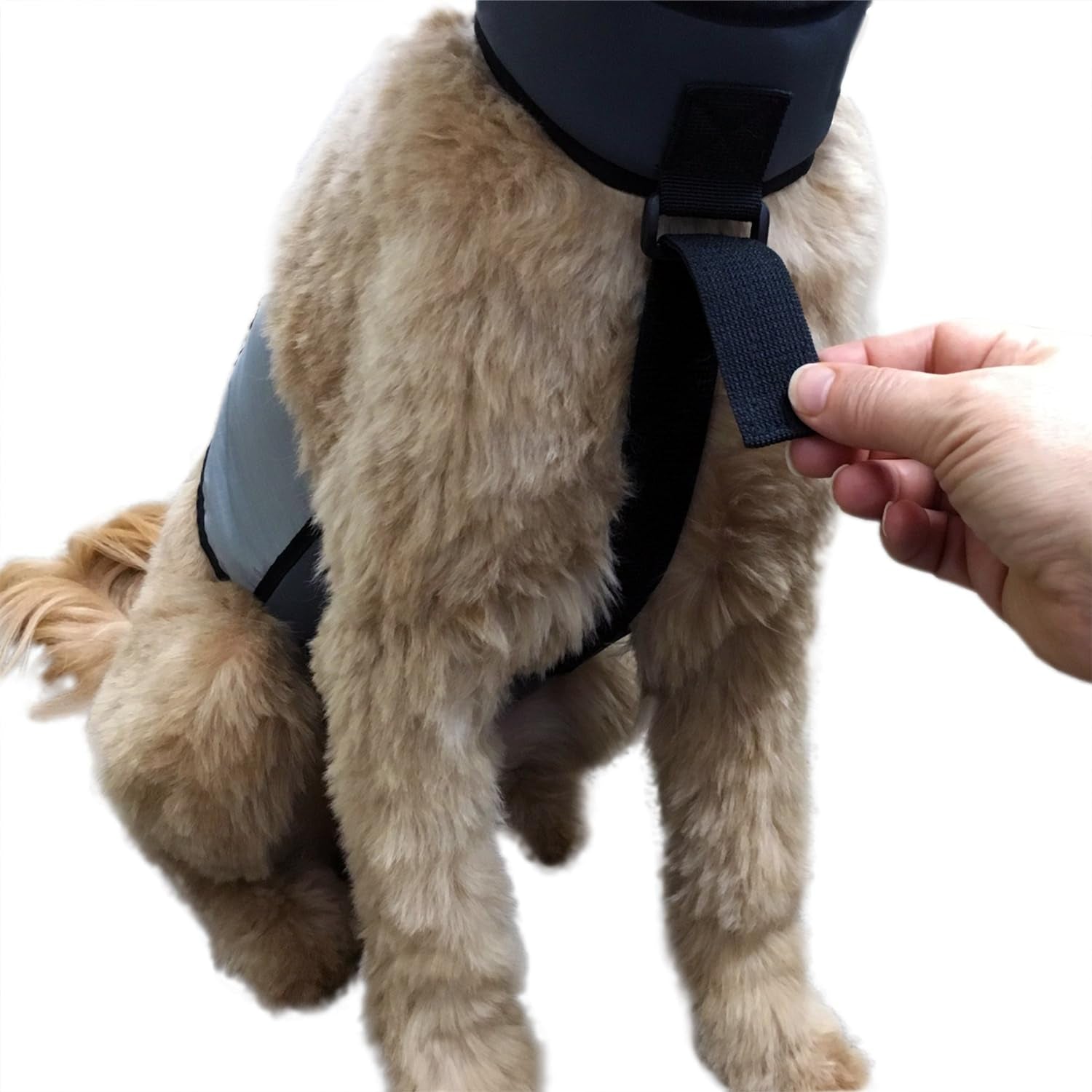 Dog Cooling Vest and Cooling Collar - Ice Vest for Dogs Medium (22" to 27" Girth)