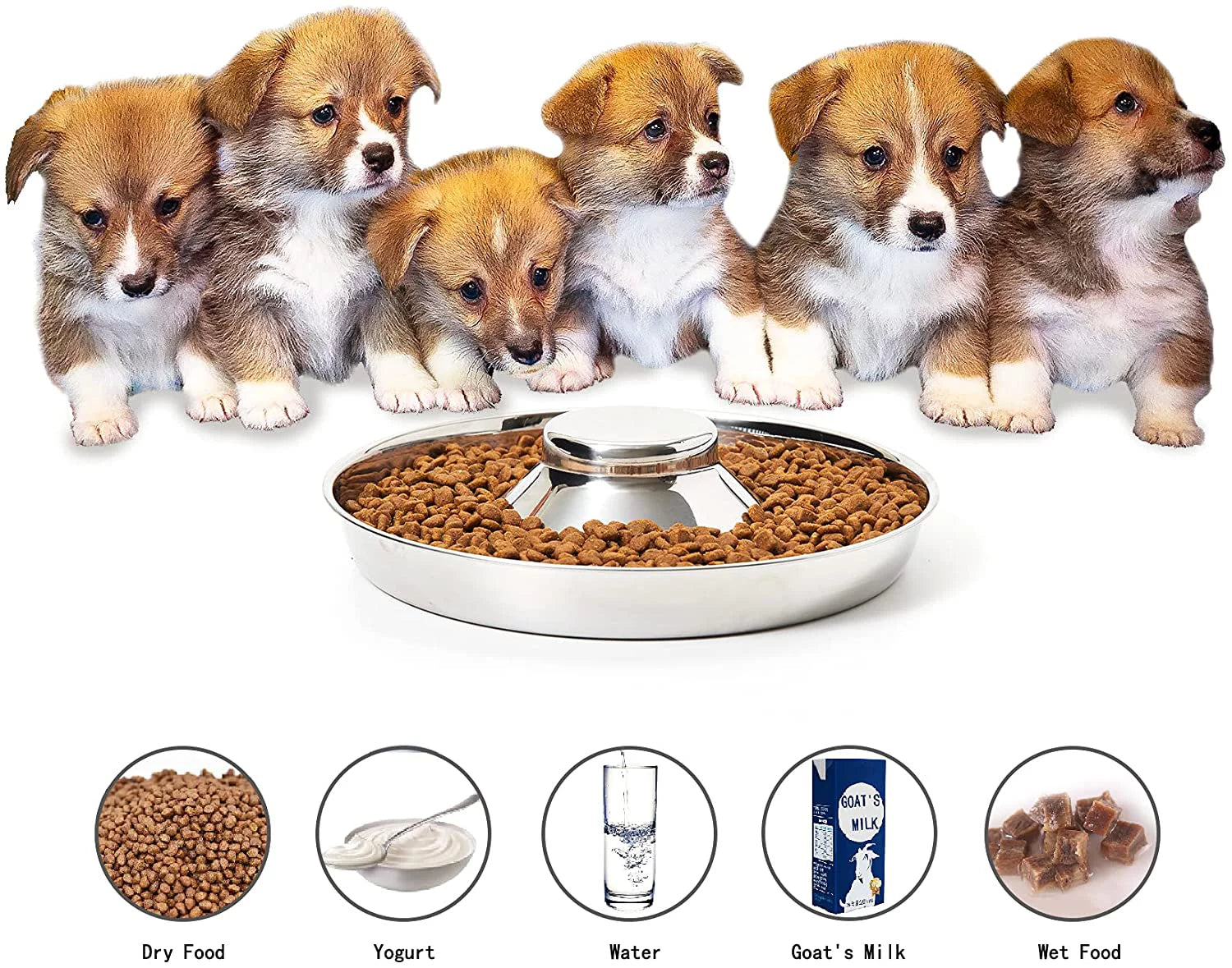 Puppy Bowls, Stainless Steel Puppy Feeder Bowl, Dog Food and Water Weaning Bowl, Small Dogs, Cats Pets Food Feeding Weaning Bowl for (M Size)