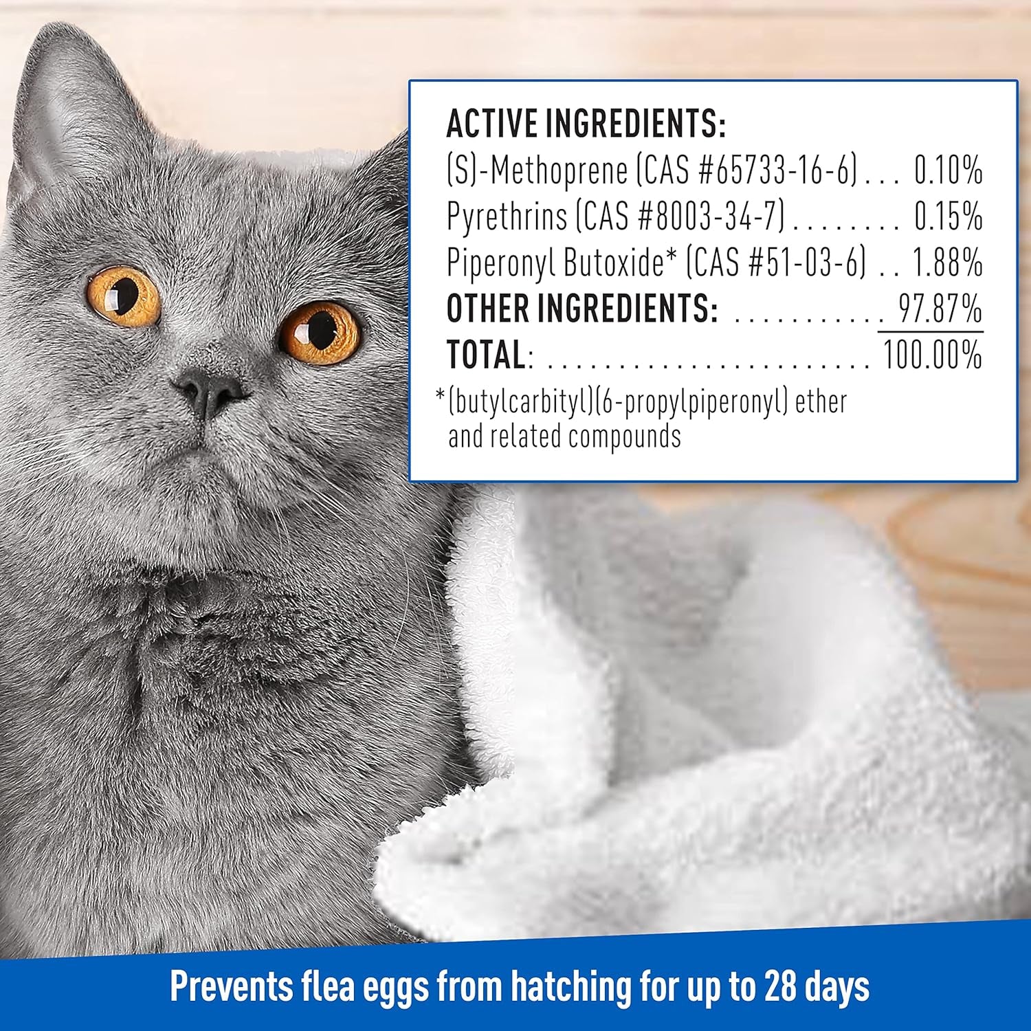 plus Flea & Tick Foaming Shampoo & Wash for Cats & Kittens over 12 Weeks | Sensitive Skin Flea Treatment for Cats and Kittens | Kills Adult Fleas, Ticks, and Lice on Contact | 10 Oz