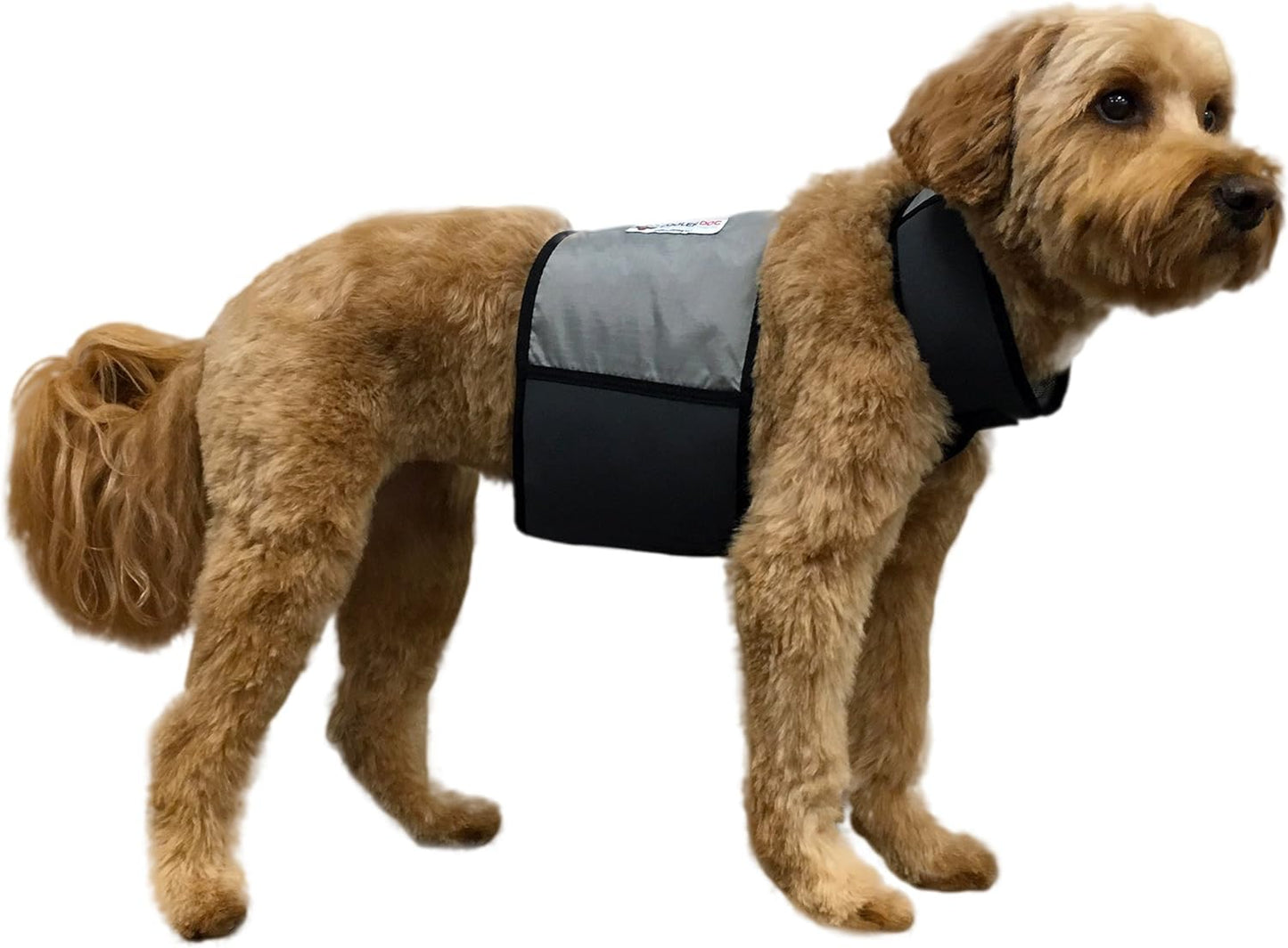 Dog Cooling Vest and Cooling Collar - Ice Vest for Dogs Medium (22" to 27" Girth)