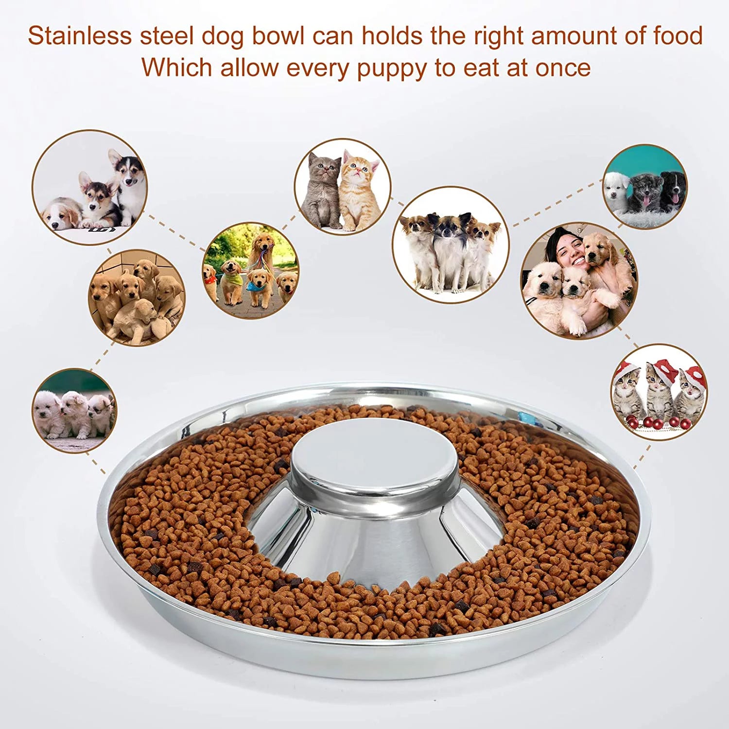 Puppy Bowls, Stainless Steel Puppy Feeder Bowl, Dog Food and Water Weaning Bowl, Small Dogs, Cats Pets Food Feeding Weaning Bowl for (M Size)