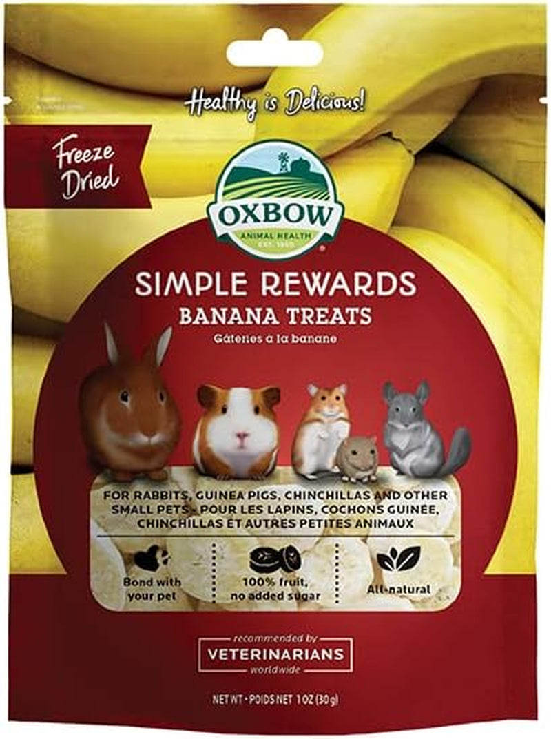 Organic Rewards Barley and Hay Biscuit Treats for Rabbits, Guinea Pigs, Chinchillas, and Small Pets Green 2.64 Ounce (Pack of 1)