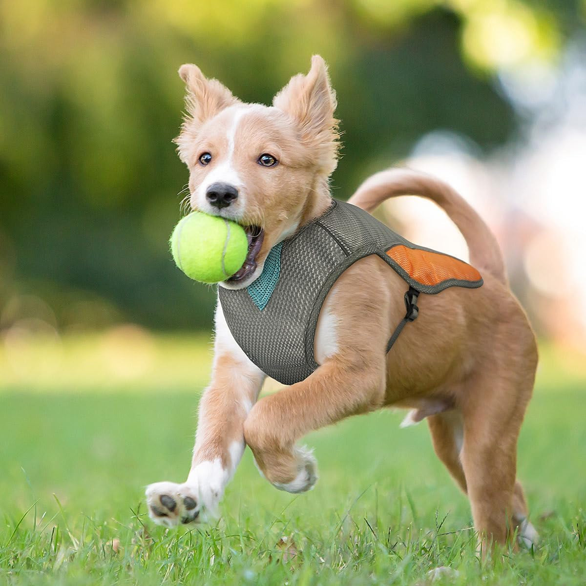 Dog Cooling Vest- Reflective Dog Cooling Coat with Adjustable Side Straps, Pet Cooler Jacket for Small, Medium Dog
